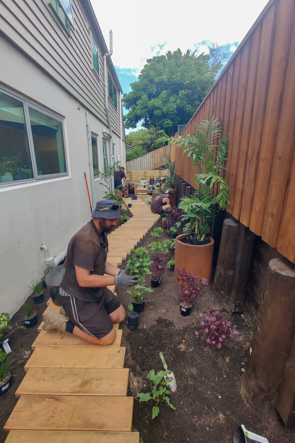 Planting along a side path as a team